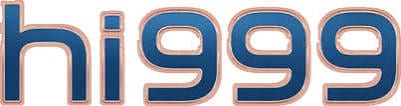 bdhi999.com Logo